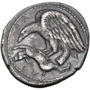 Eagle standing left, wings spread and head lowered, tearing at dead hare held in its talons.; AKPA