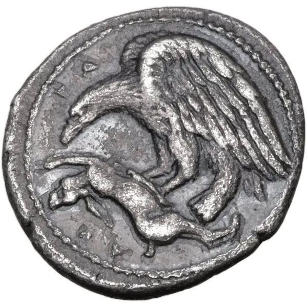 Eagle standing left, wings spread and head lowered, tearing at dead hare held in its talons.; AKPA