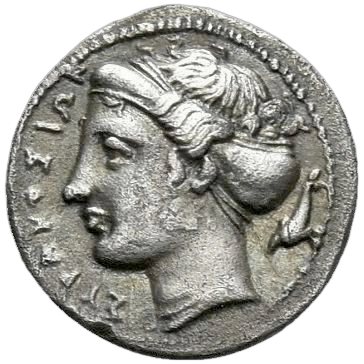 Head of Arethusa to left, her hair bound up in a sakkos, wearing a simple earring and a pearl necklace. To right, dolphin swimming downwards to left